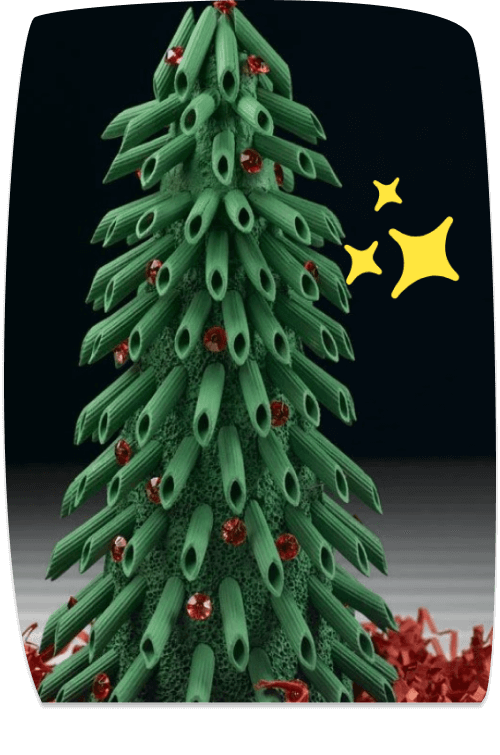Sapin de pâtes Penne