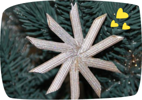 Étoile argentée de Penne